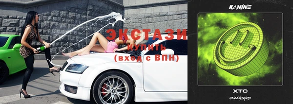 ECSTASY Алзамай